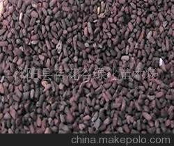 二月兰花卉种子 价格、厂家及绿化苗木选购指南