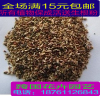 米兰花 室内有氧盆栽，净化空气的清淡芳香植物