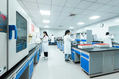 智改数转 解码白酒行业转型之路，国台、今世缘、红星等提供行业样本与启示