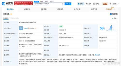 菜鸟网络同日成立2家物联网技术公司，深耕信息技术咨询服务新赛道