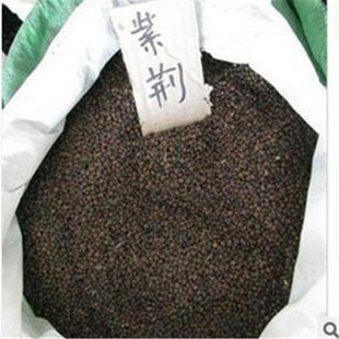 批发采购优质种苗资源——一站式基地供应林木种子、花卉种子及专业信息技术咨询