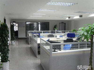 广州迈蔻生物科技 信息技术咨询服务解析